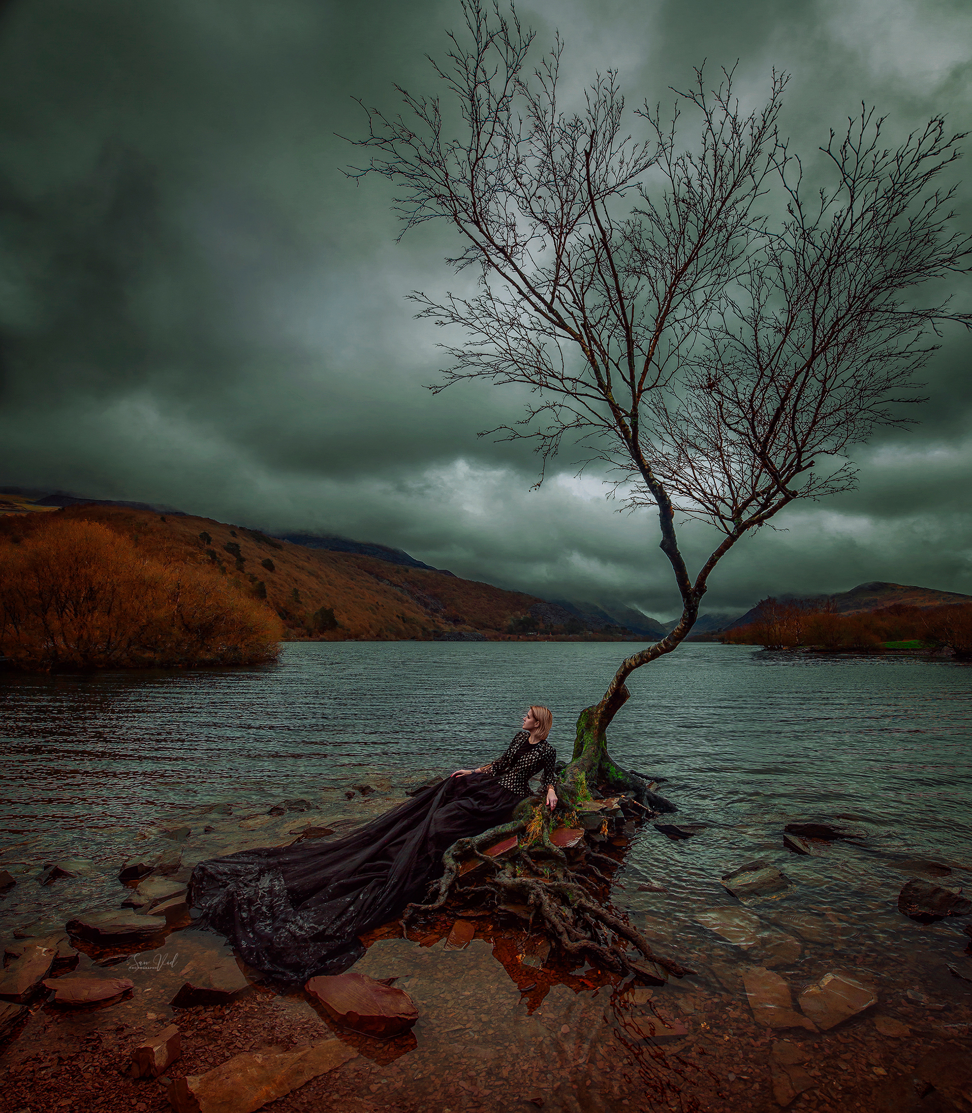 Creative Portrait Photography The Lonely Tree Wales UK