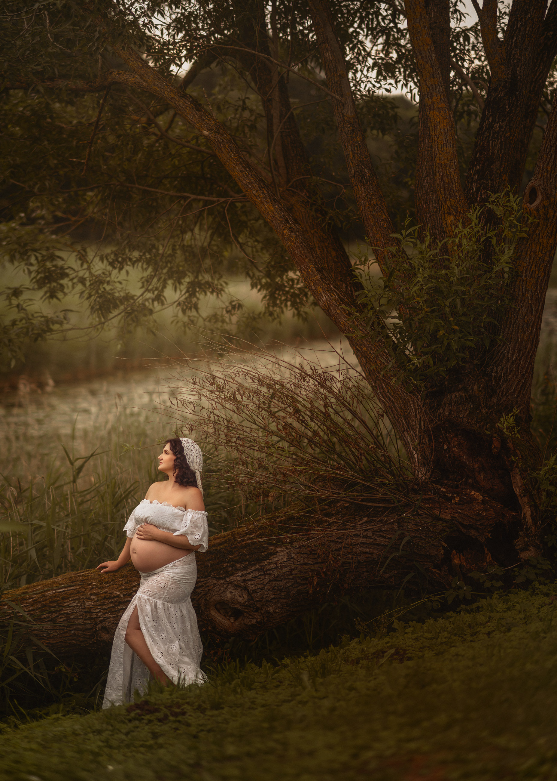 Woodland maternity photoshoot with pregnant woman in white beside a fallen tree